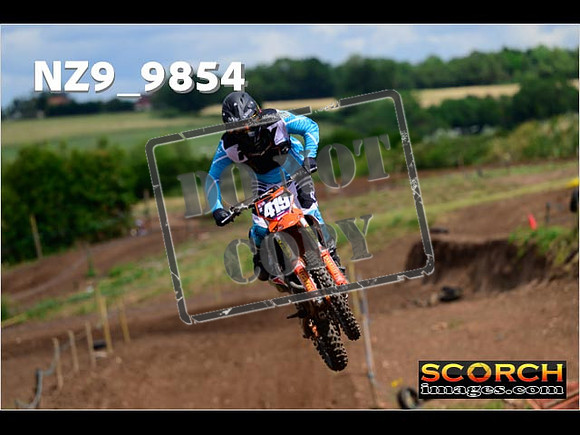 Experts-137