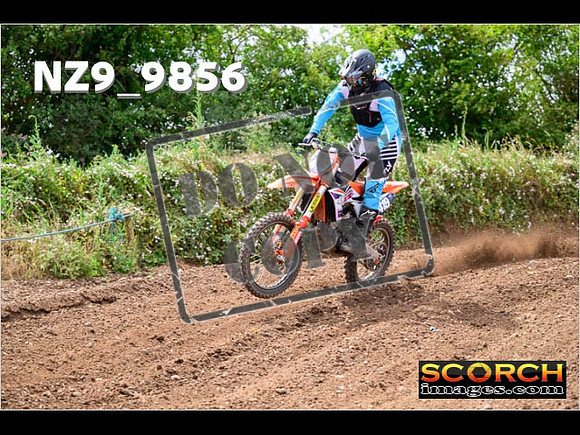 Experts-139