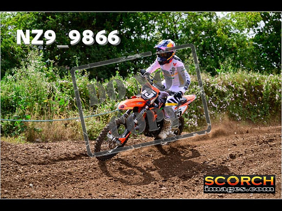 Experts-146