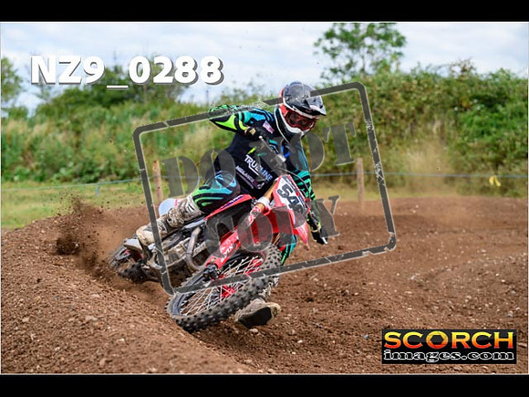 Experts-157