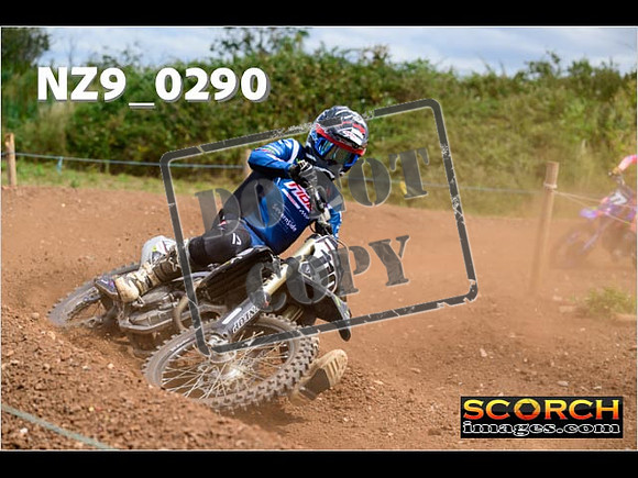 Experts-159