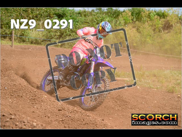 Experts-160