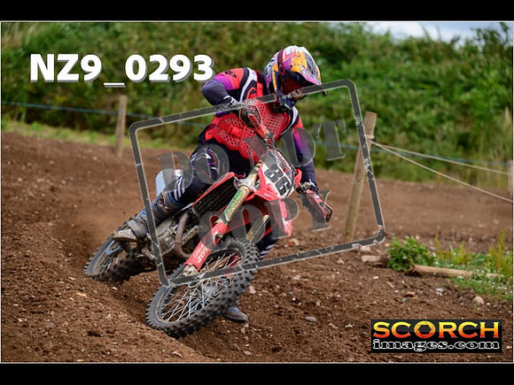 Experts-162