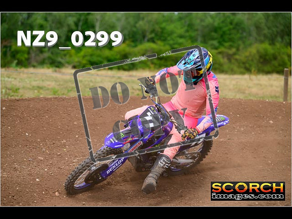 Experts-167