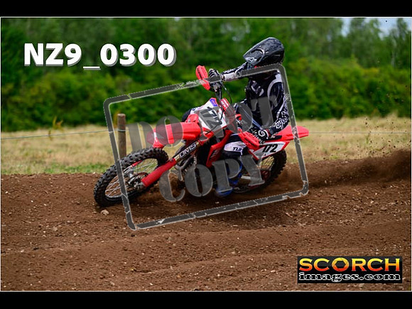Experts-168