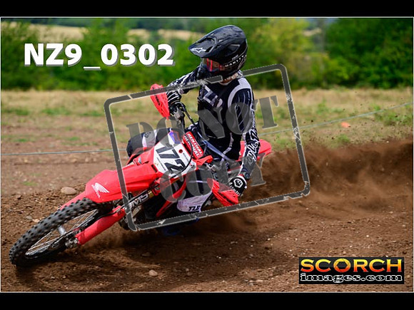 Experts-170