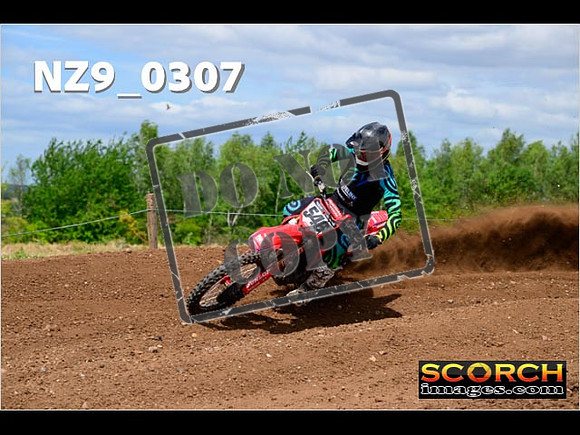 Experts-173