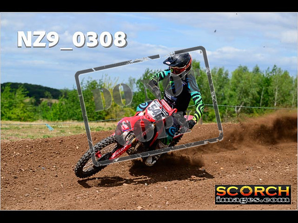 Experts-174