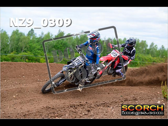 Experts-175
