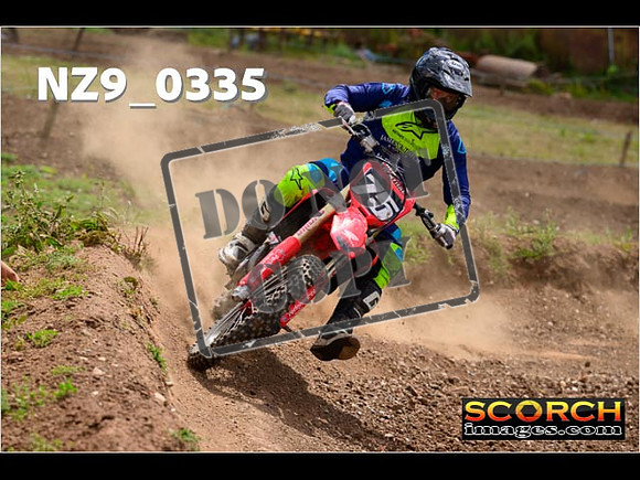 Experts-200