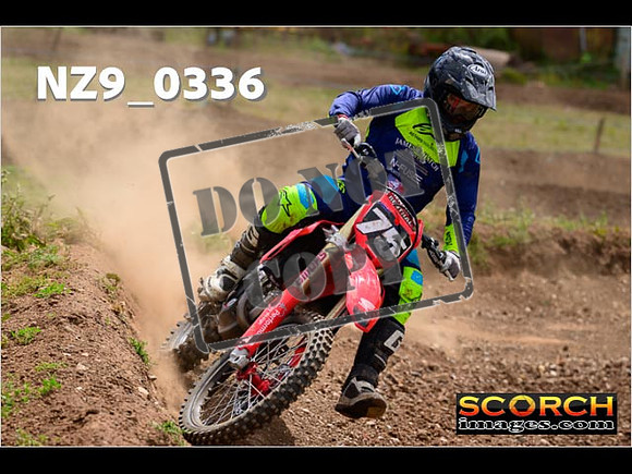 Experts-201