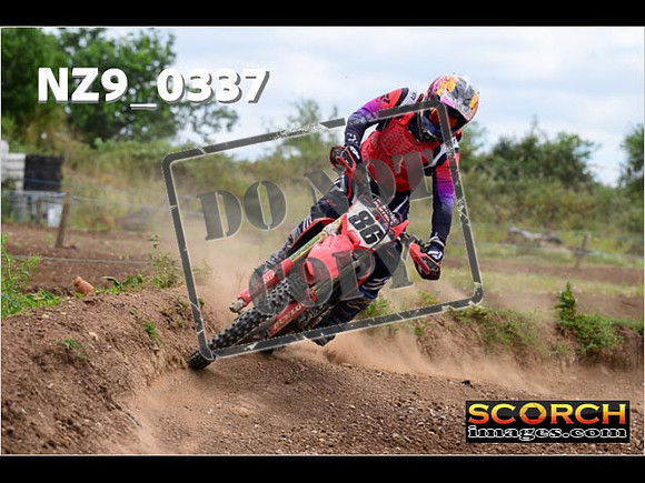Experts-202