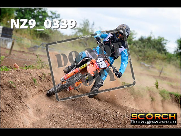 Experts-204