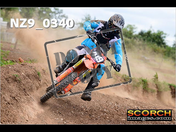 Experts-205