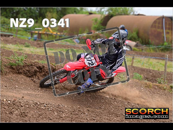 Experts-206