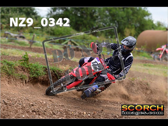 Experts-207