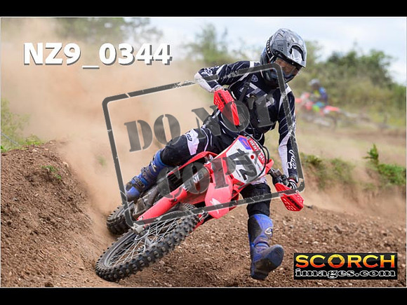 Experts-209