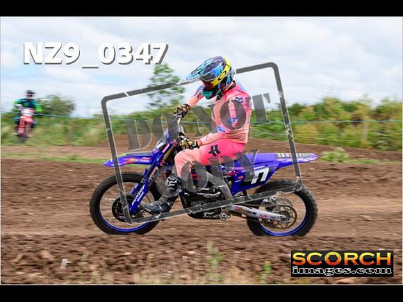 Experts-211