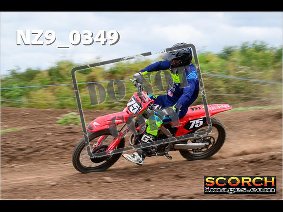 Experts-213