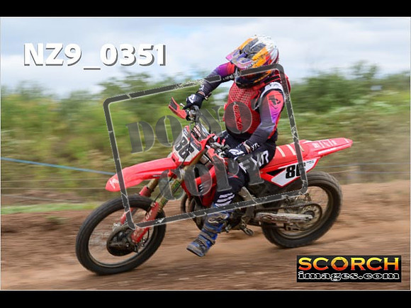 Experts-215