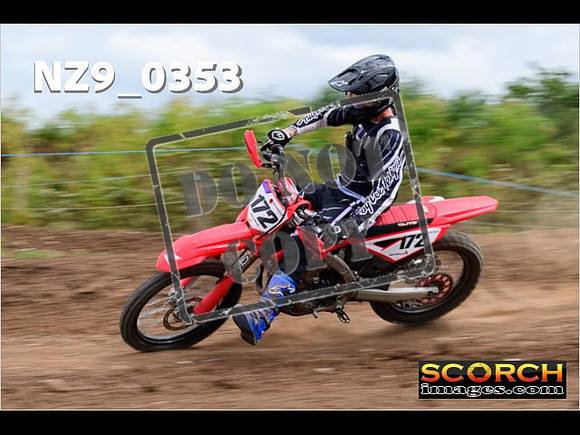 Experts-216