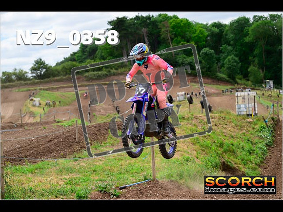 Experts-219