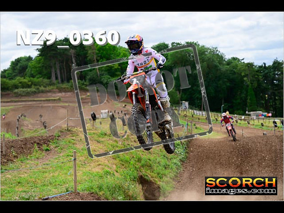 Experts-220