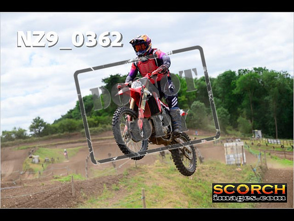Experts-221