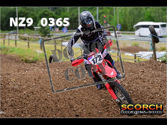 Experts-223