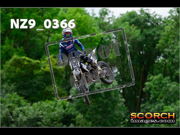 Experts-224