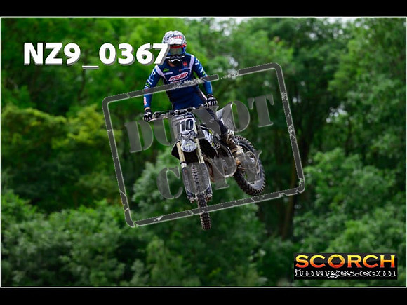 Experts-225