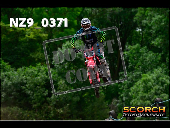 Experts-229
