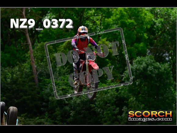 Experts-230