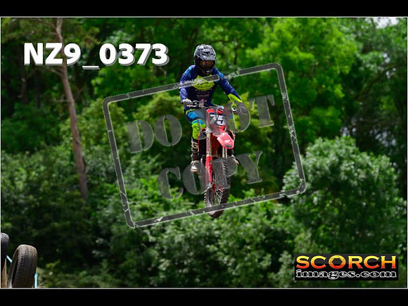 Experts-231