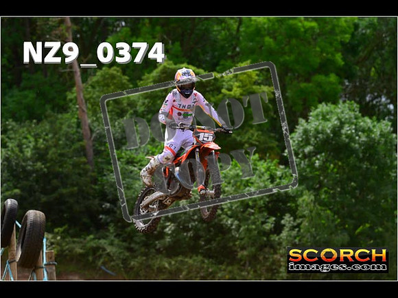 Experts-232