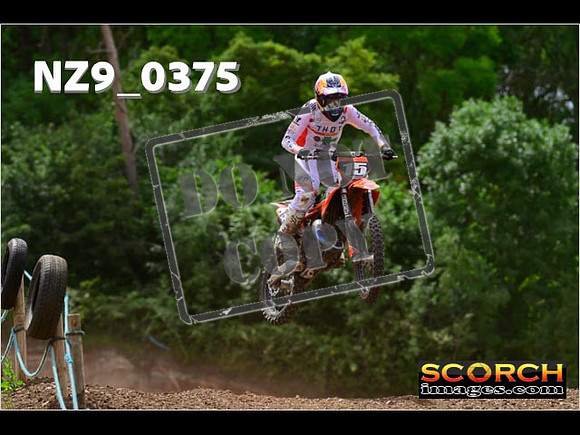 Experts-233