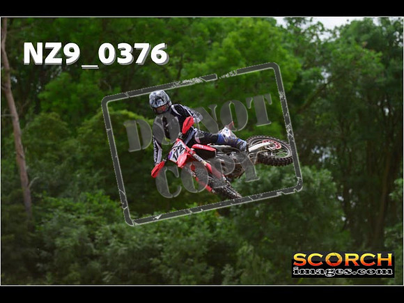 Experts-234