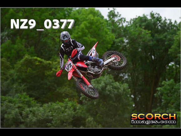 Experts-235