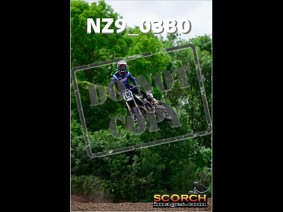 Experts-238