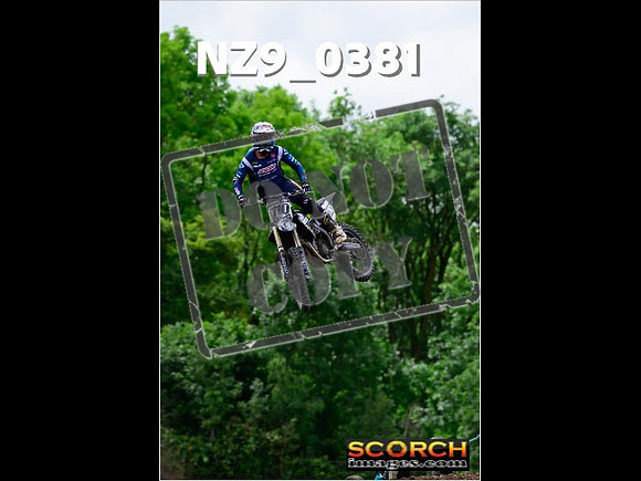 Experts-239