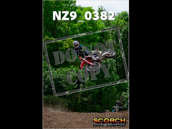 Experts-240