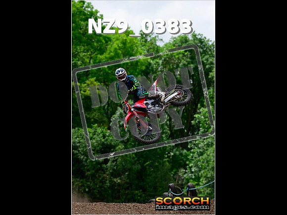 Experts-241
