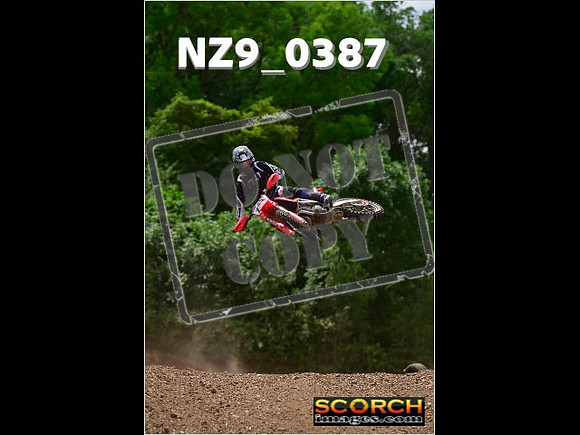 Experts-245