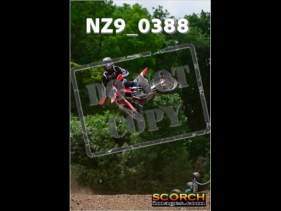Experts-246