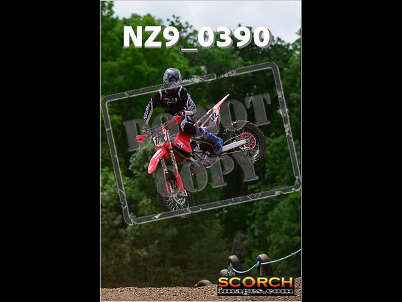 Experts-248