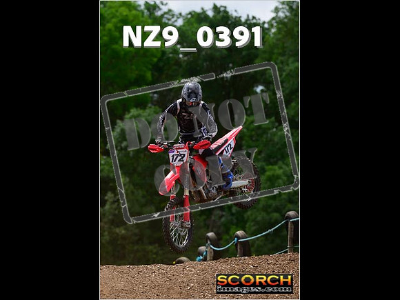 Experts-249