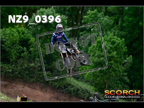 Experts-250