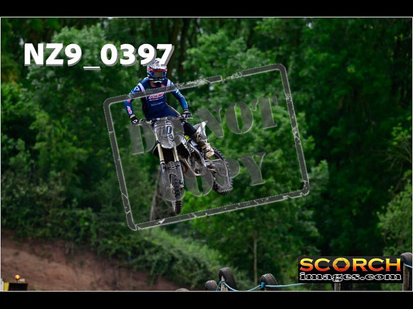 Experts-251