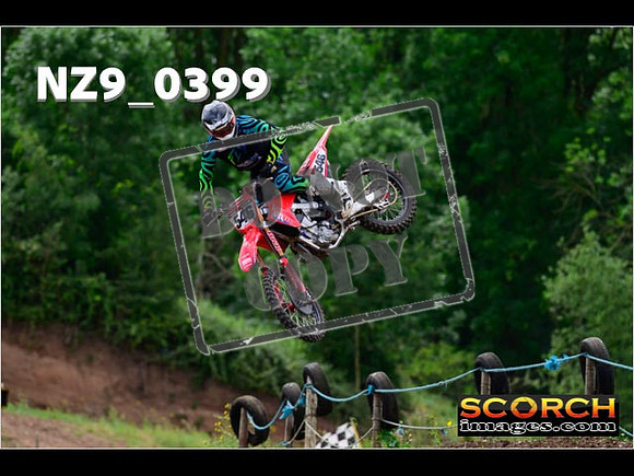 Experts-253