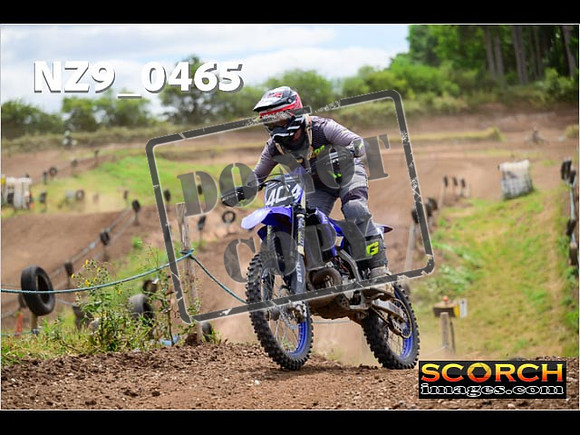 IntersBlue-442